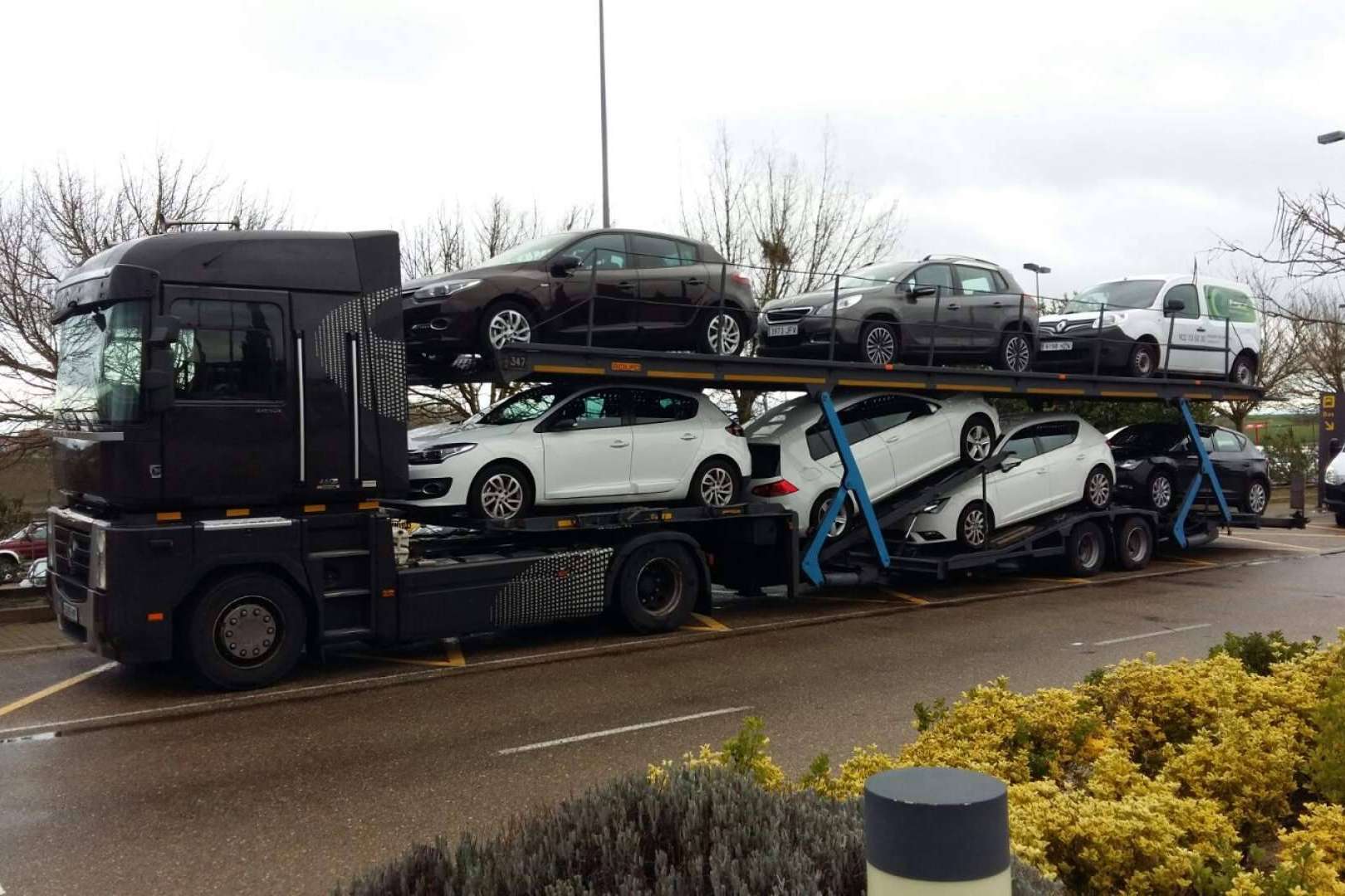 Alicotrans, una cooperativa enfocada en optimizar la cadena de transporte y maximizar ganancias