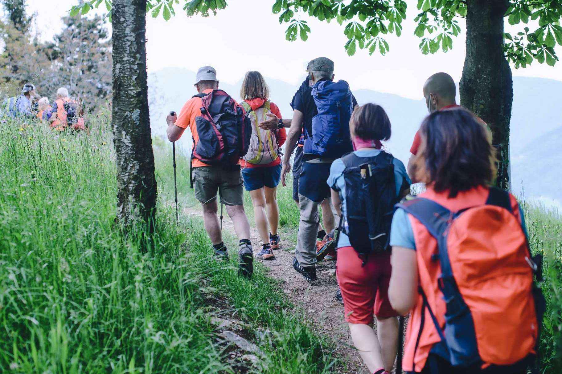 Santiago de Compostela al alcance de todos; Los Free Tour fascinan