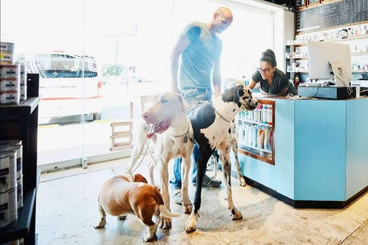 Gestor PetShop; El aliado para cumplir con VeriFactu en peluquerías y tiendas de animales