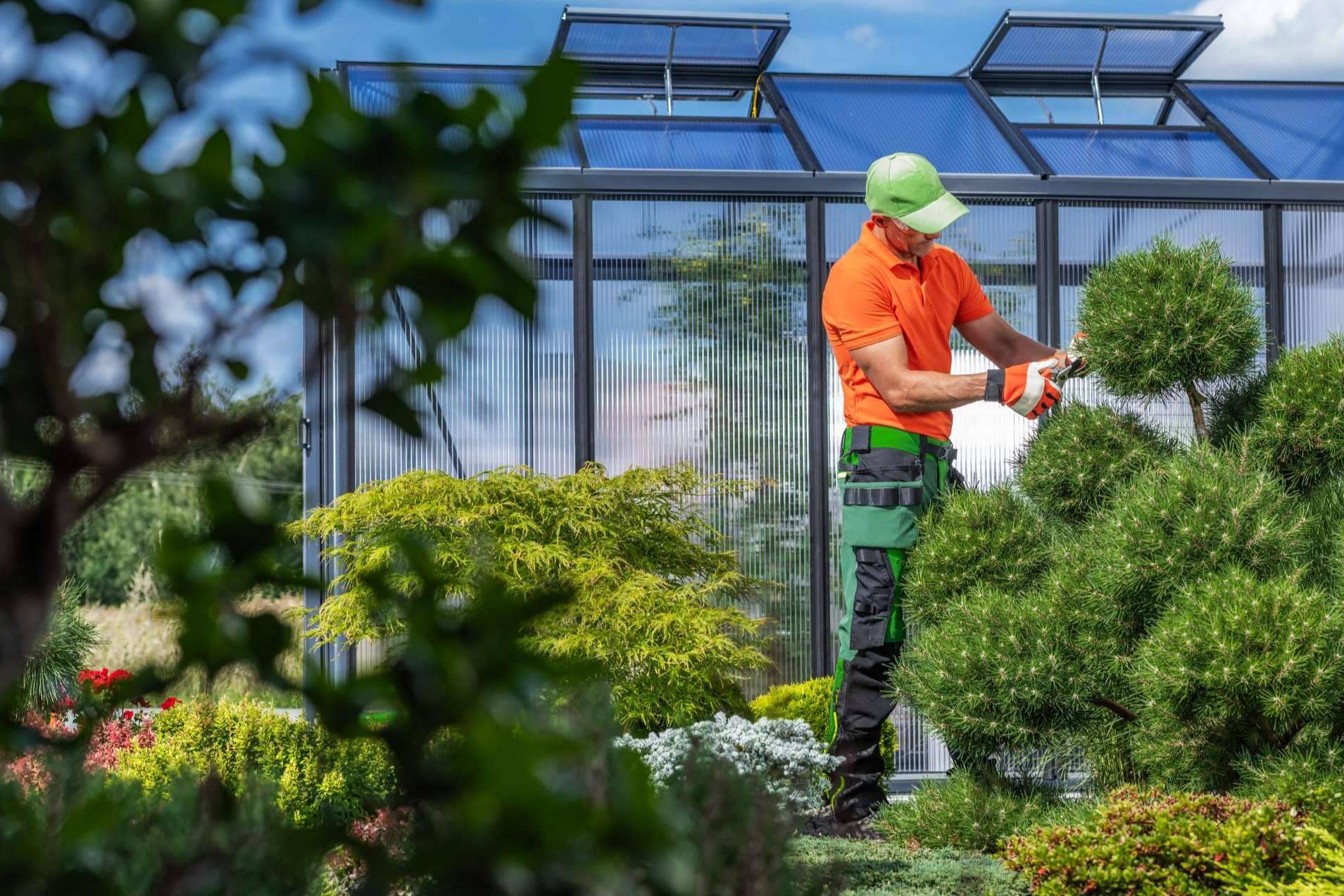 Transformando Barcelona con espacios verdes; jardinería profesional para hogares y ciudades sostenibles