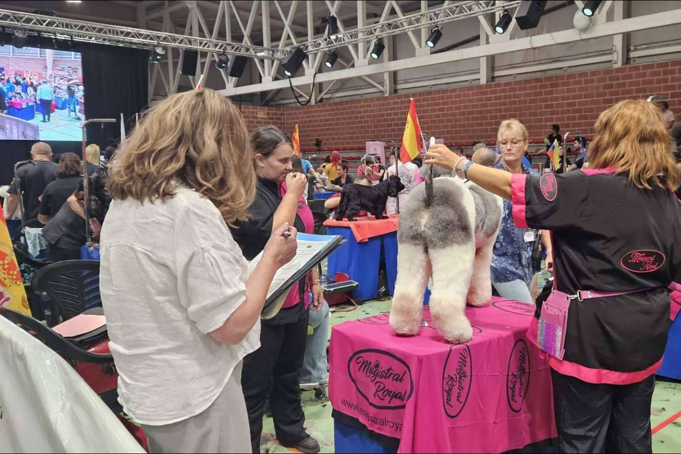 El mejor estilismo canino del mundo llega a Murcia en octubre