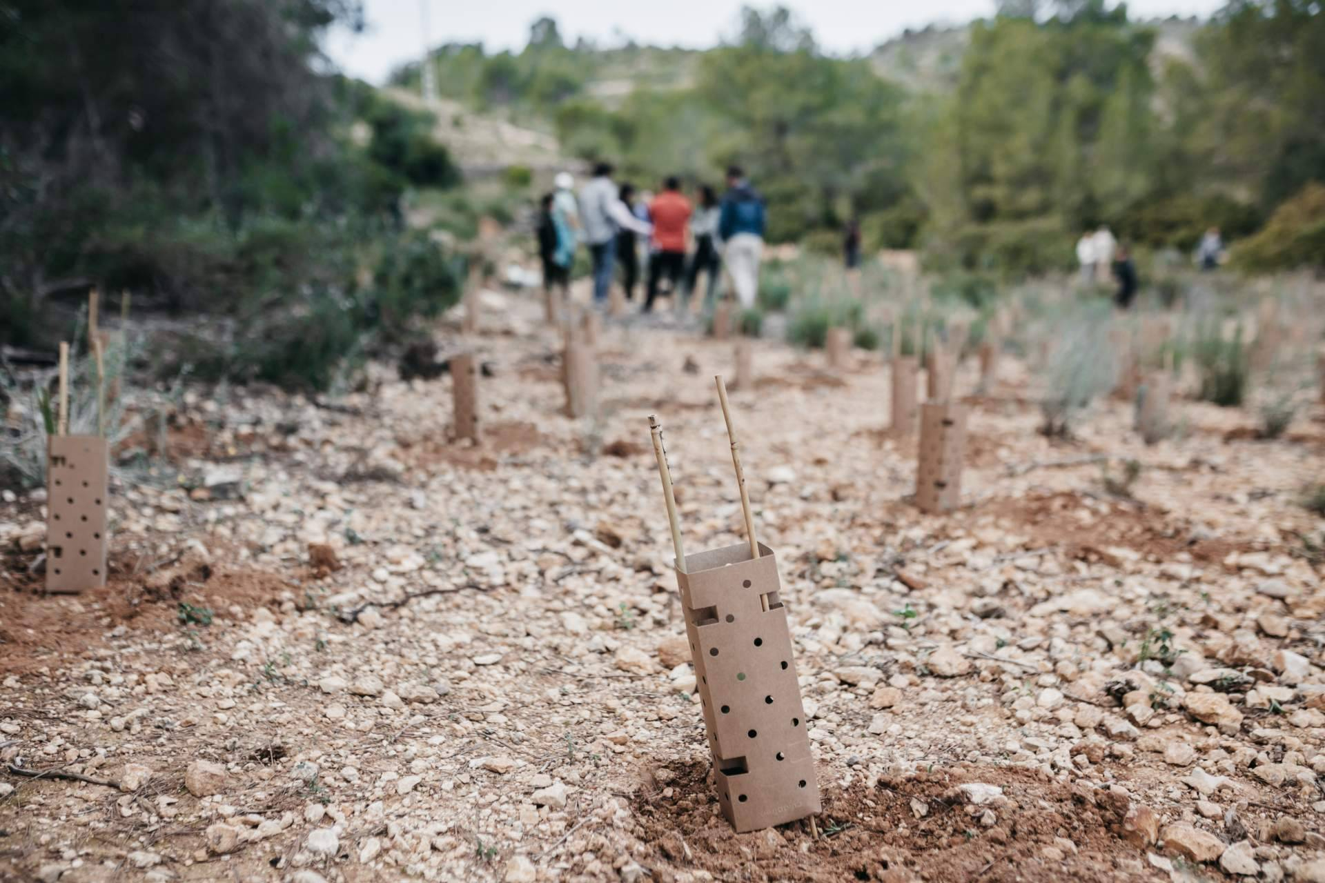 Bosquia impulsa la recuperación ambiental con un proyecto de reforestación en el Parque Natural del Turia